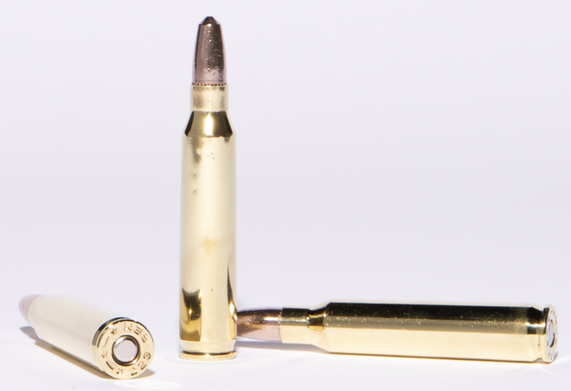 Can You Use 223 Frangible Ammo For Home Defense?
